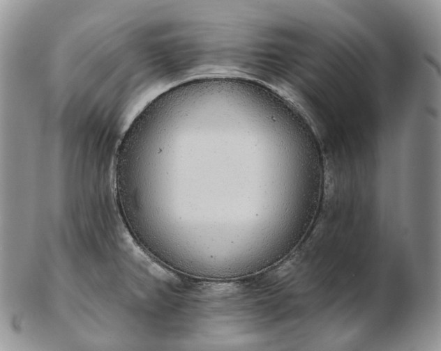 X0000102811382200809021149