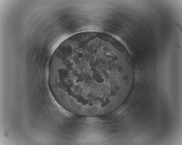 X0000102811383200809021149