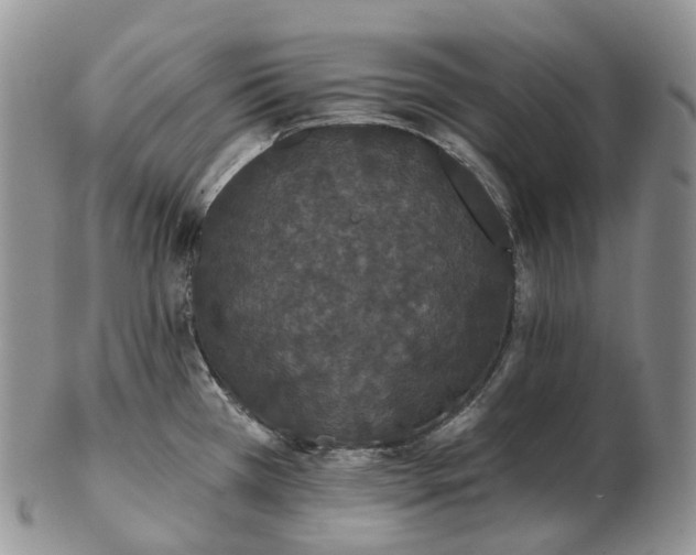 X0000102811385200809021149