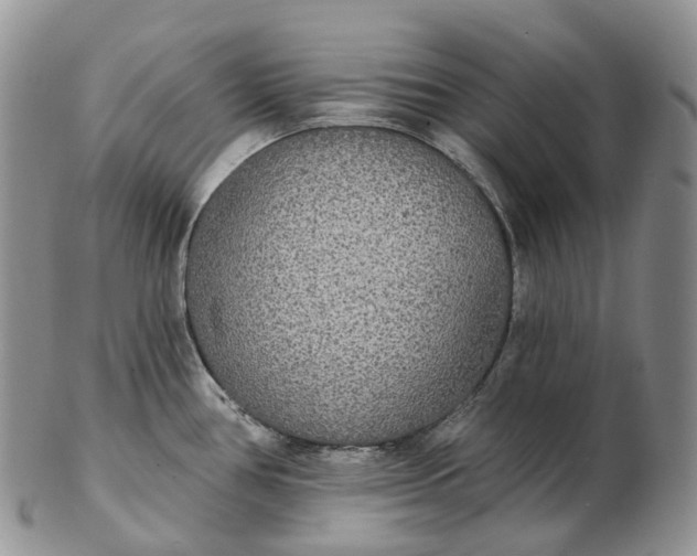 X0000102811386200809021149