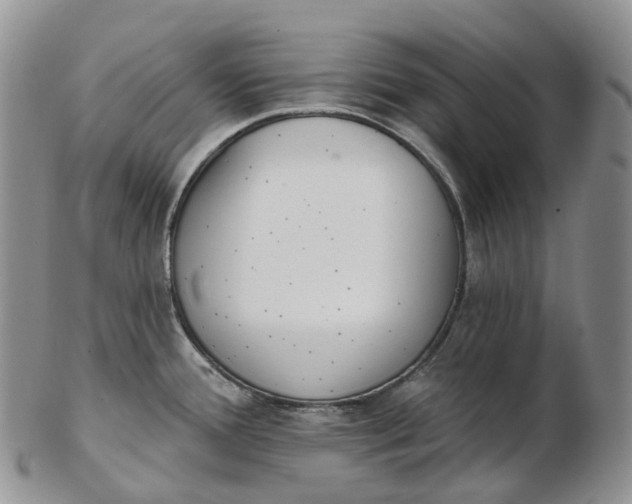 X0000102811388200809021149