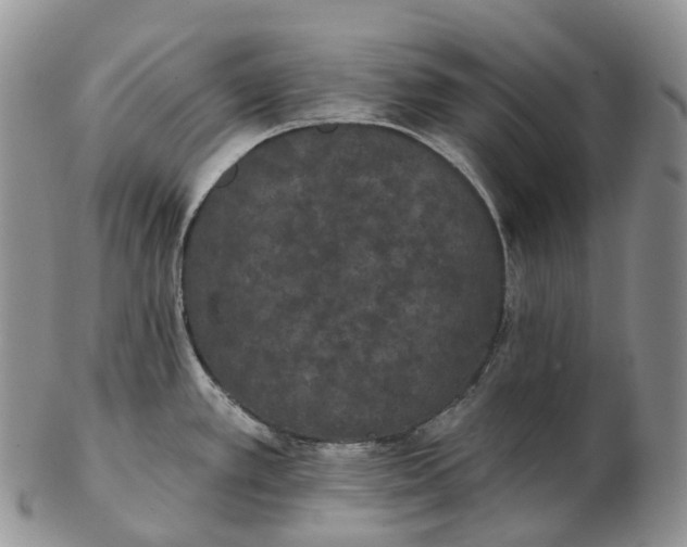 X0000102811389200809021149