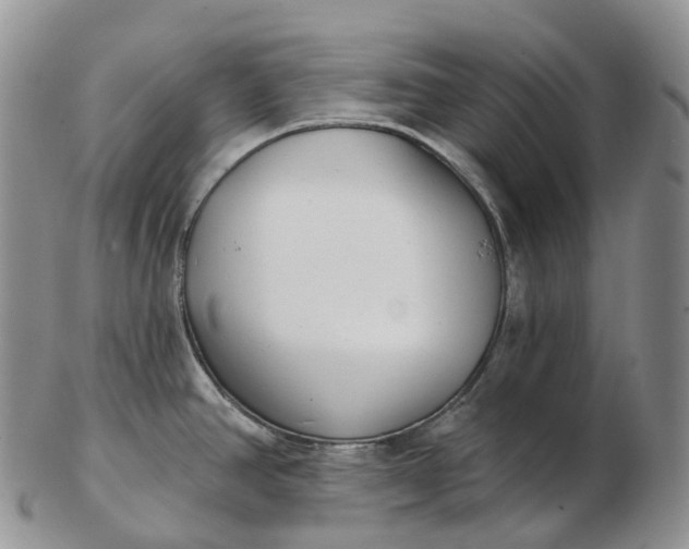 X0000102811390200809021149