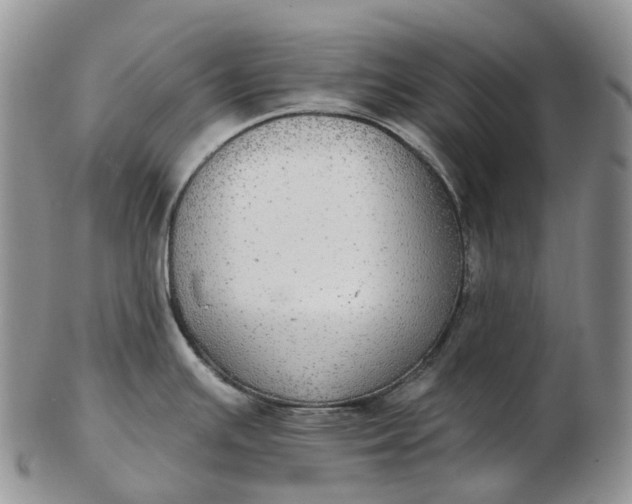 X0000102811391200809021149