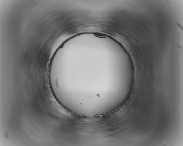 X0000102811392200809021149