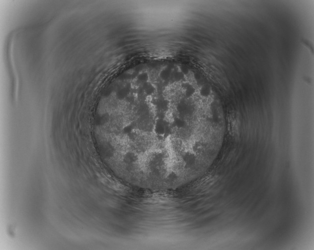 X0000102811393200809021148