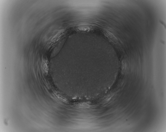 X0000102811394200809021148