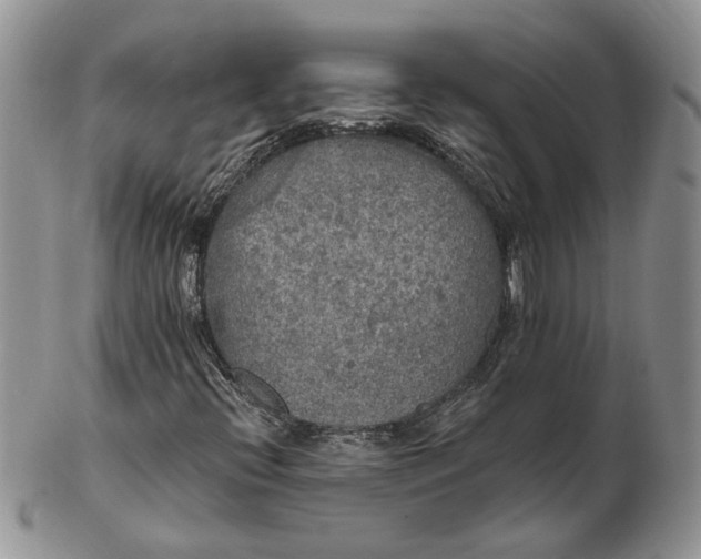 X0000102811396200809021148