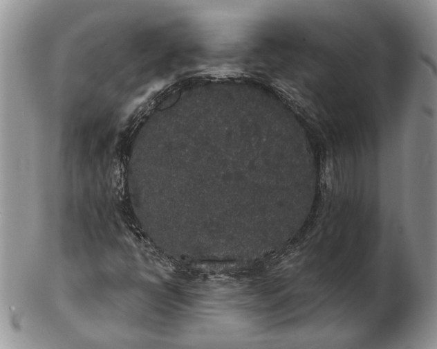 X0000102811398200809021148