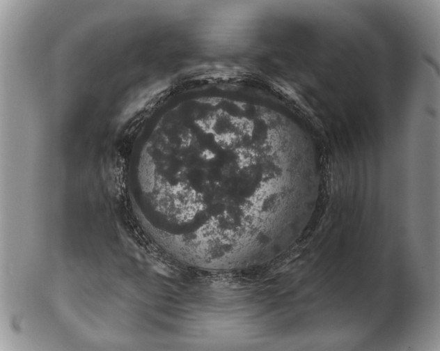 X0000102811399200809021148