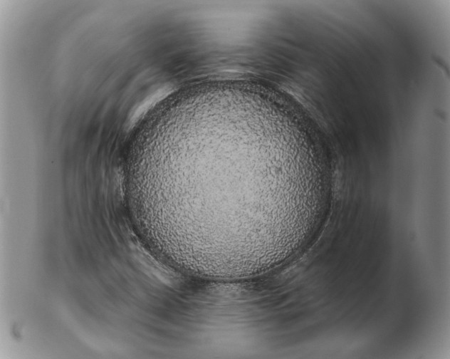 X0000102811402200809021148