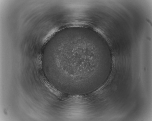 X0000102811403200809021148