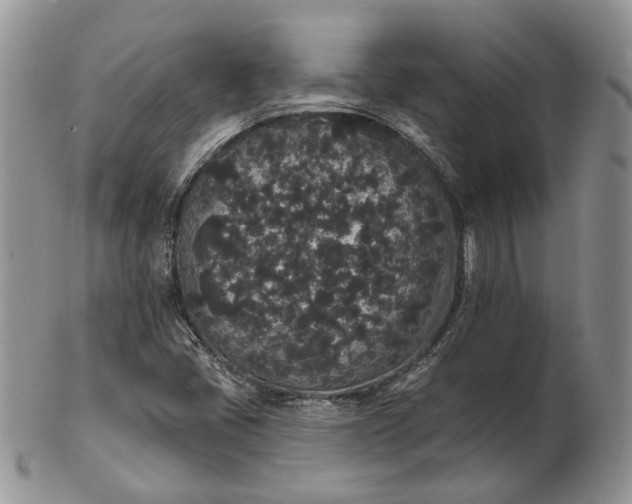 X0000102811405200809021148