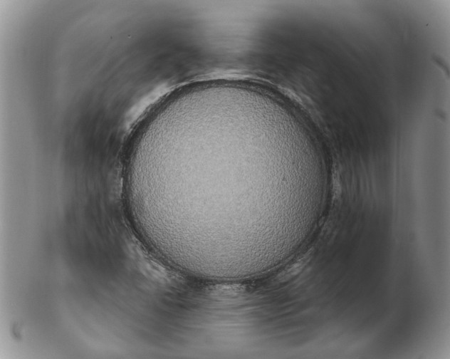 X0000102811406200809021149