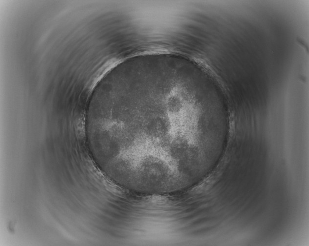 X0000102811409200809021149