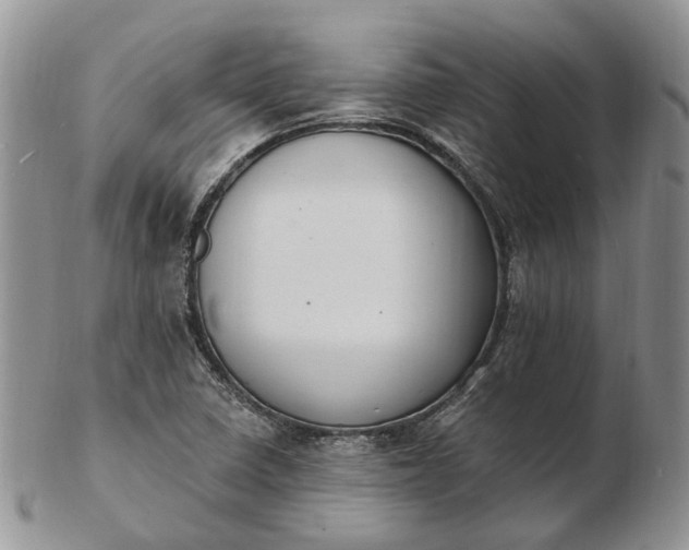 X0000102811410200809021149