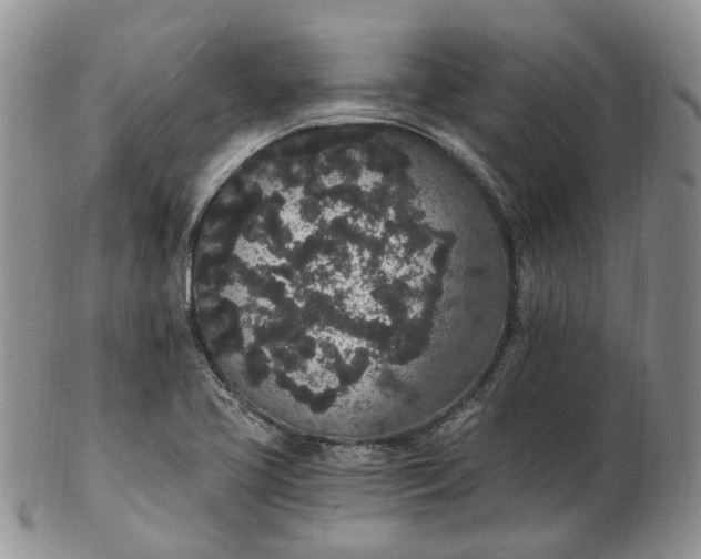 X0000102811413200809021149