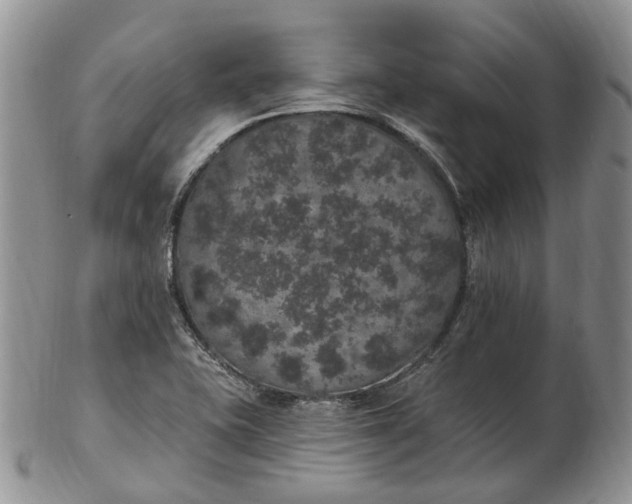 X0000102811415200809021149