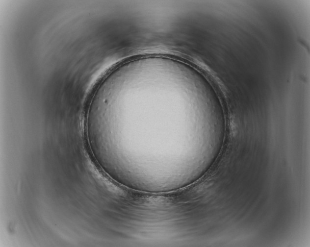 X0000102811416200809021149