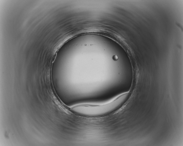 X0000102811417200809021149