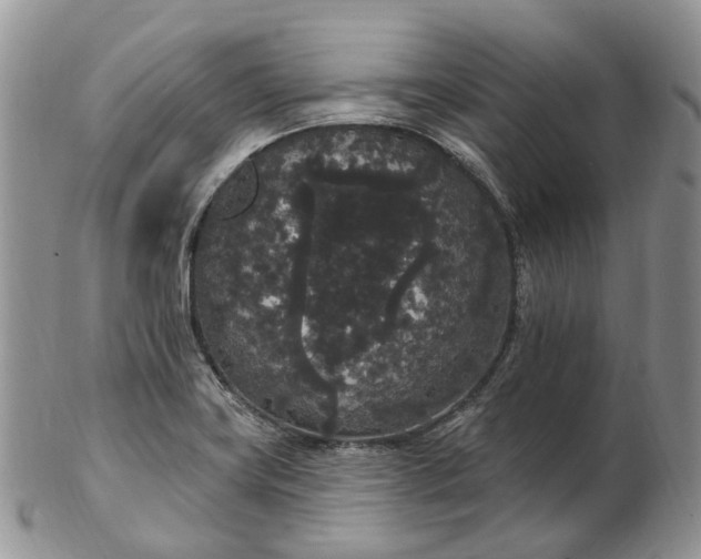 X0000102811419200809021149