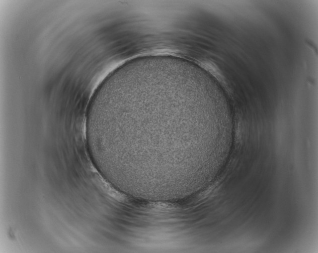 X0000102811420200809021149