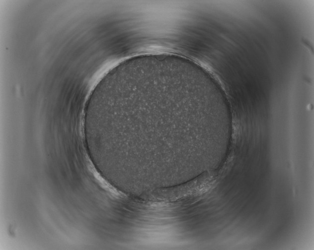 X0000102811421200809021149