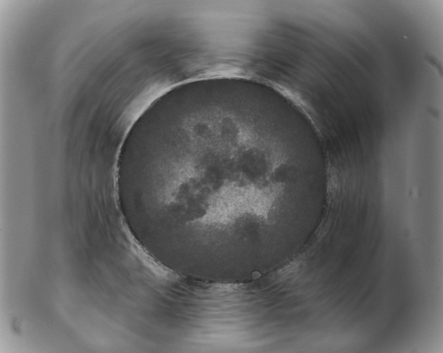 X0000102811423200809021149