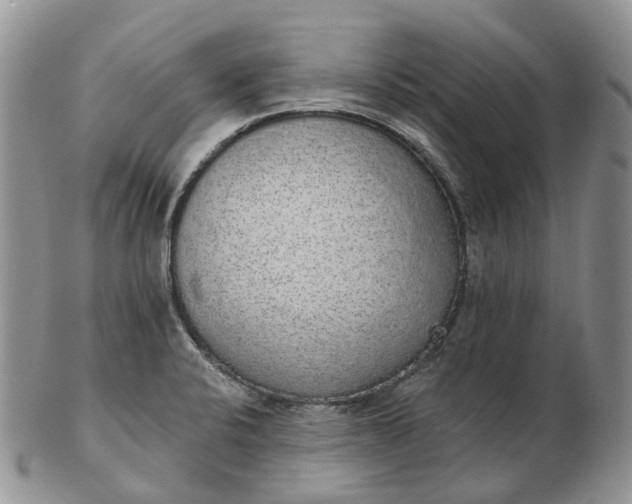 X0000102811424200809021149