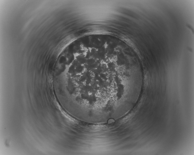 X0000102811425200809021149