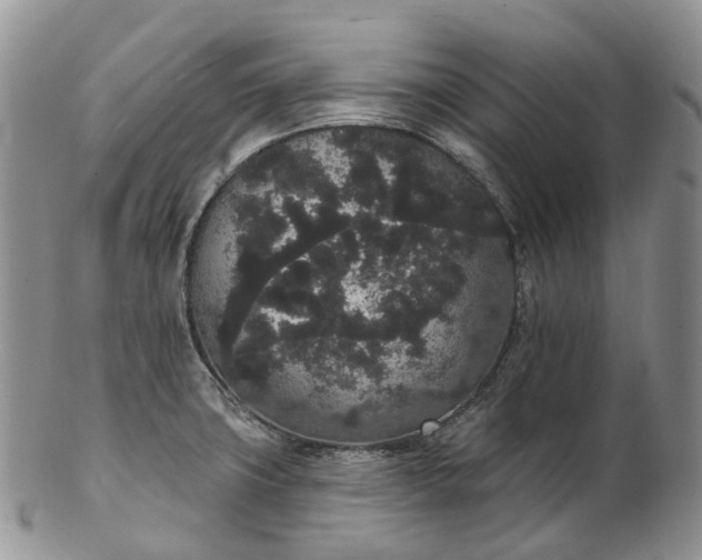 X0000102811427200809021149