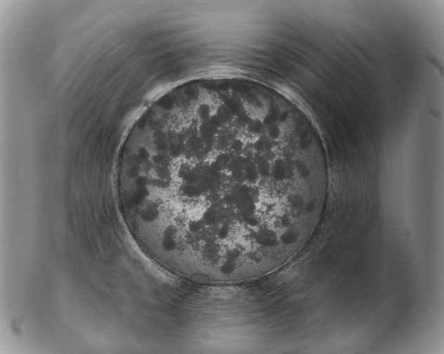 X0000102811429200809021149