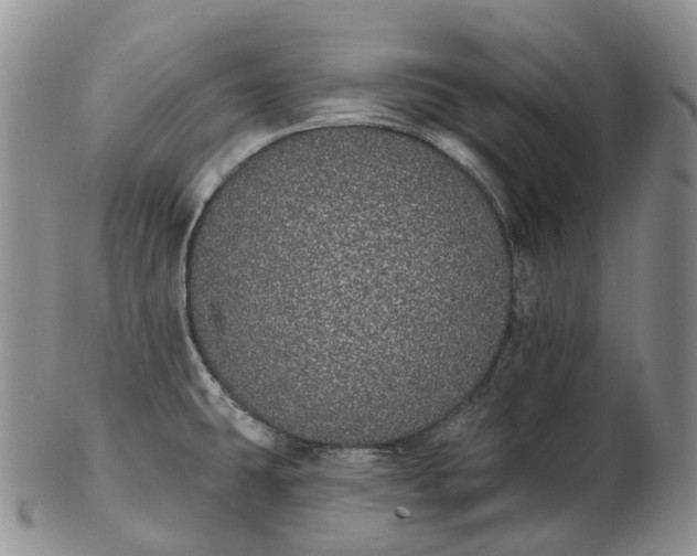 X0000102811431200809021149