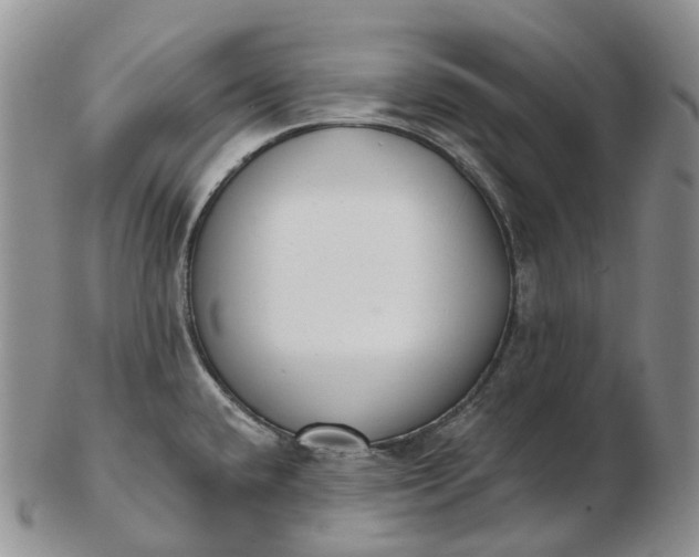 X0000102811432200809021149