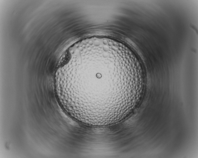 X0000102811433200809021149