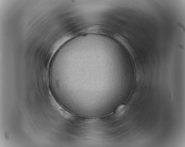 X0000102811434200809021149