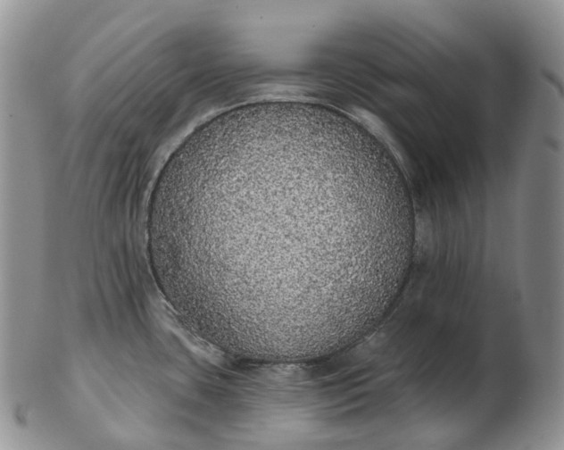 X0000102811435200809021149