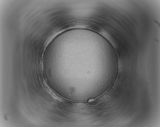 X0000102811436200809021149