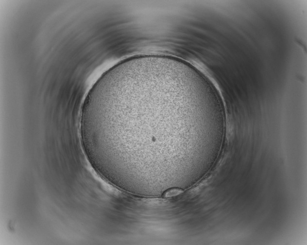 X0000102811437200809021149