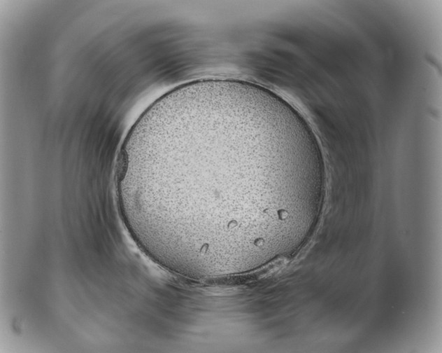 X0000102811440200809021149