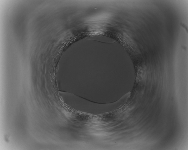 X0000102811441200809021148