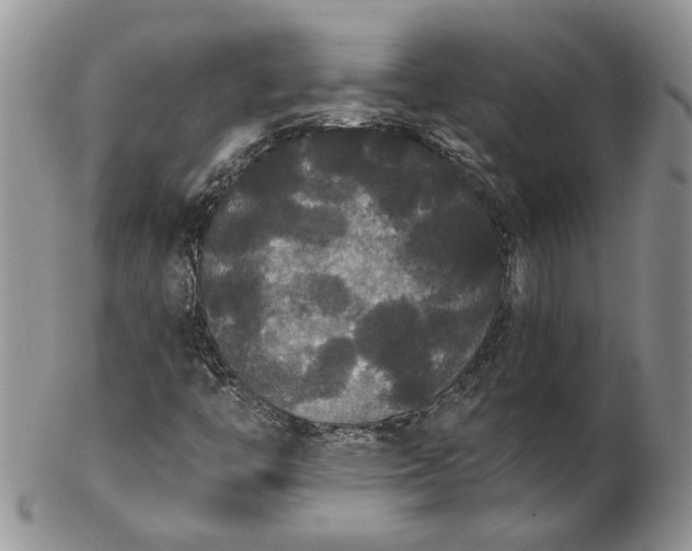 X0000102811446200809021148