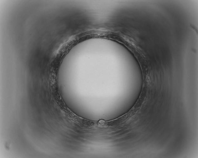 X0000102811447200809021148