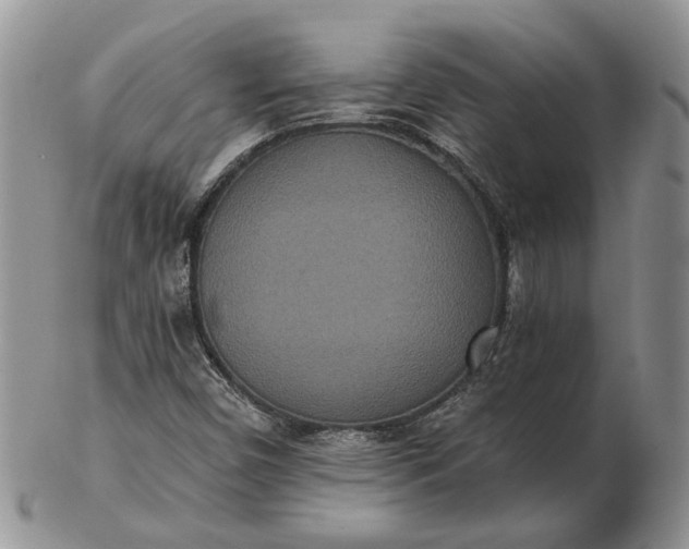 X0000102811450200809021148