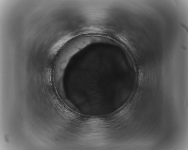 X0000102811455200809021148