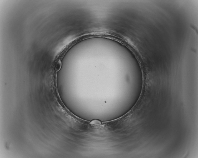 X0000102811456200809021148