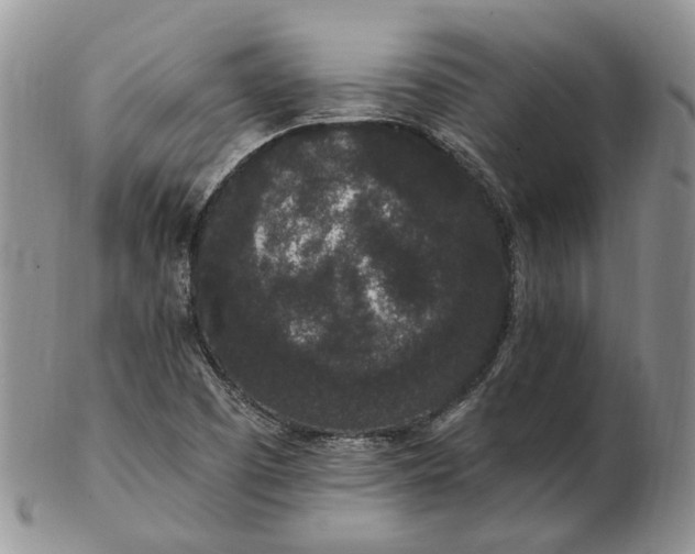 X0000102811457200809021148