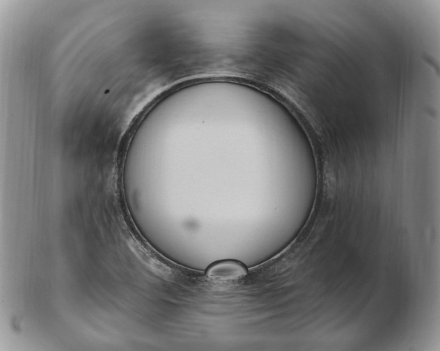 X0000102811460200809021148