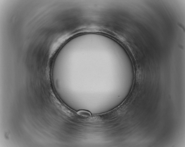 X0000102811464200809021148