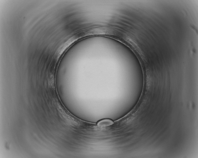 X0000102811465200809021148